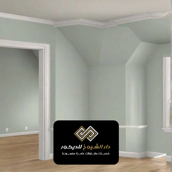 اصباغ جدران صالات ال نهيان